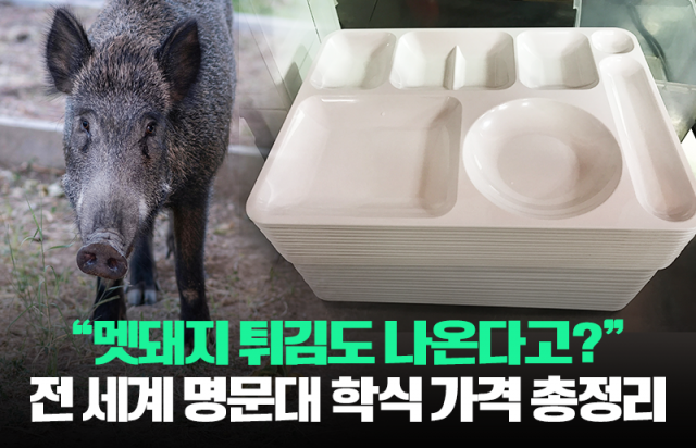 "멧돼지 튀김도 나온다고?" 전 세계 명문대 학식 가격 총정리