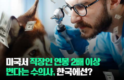 미국서 직장인 연봉 2배 이상 번다는 수의사, 한국에선?