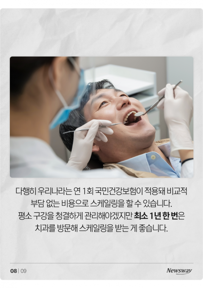 치매 부르는 박테리아, 알고 보니 우리 '○○'에 살고 있었다 기사의 사진