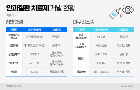 국내 안질환 치료제 개발 '난항', 글로벌 데뷔 '난관'