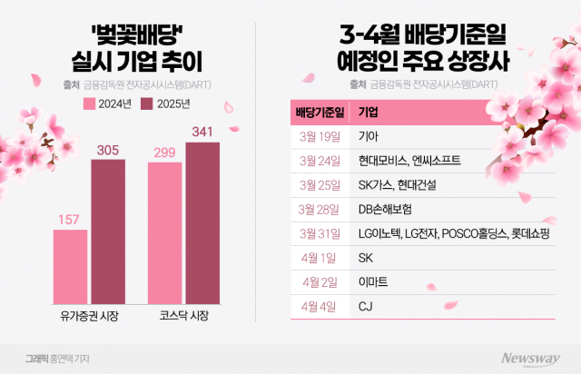 올해 벚꽃배당 기업 650곳··· 전년比 42% 증가