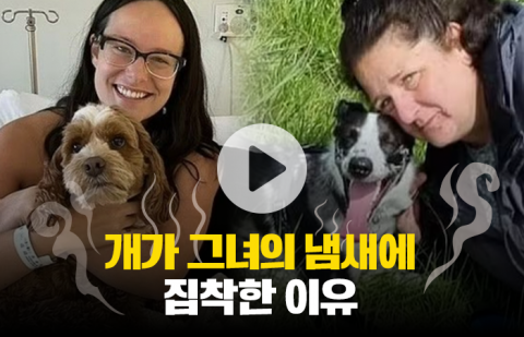개가 그녀의 냄새에 집착한 이유