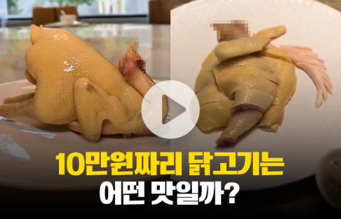  10만원짜리 닭고기, 맛도 돈값 할까?