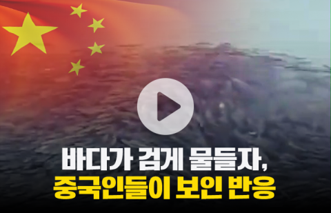  바다가 검게 물들자, 중국인들이 보인 반응