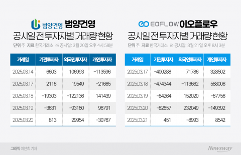 범양건영·이오플로우 '감사 거절' 올빼미 공시, 개미만 당했다