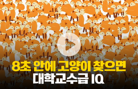 8초 안에 고양이 찾으면 대학교수급 IQ