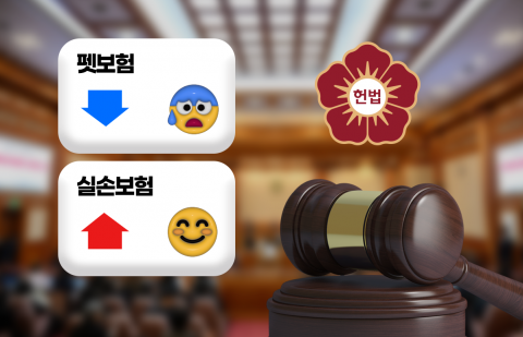 조기 대선 국면 돌입···尹정부 국정과제 '실손·펫보험' 미래는