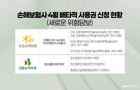 DB·KB손보, 연이은 배타적 사용권 도전장···장기보험 차별화 경쟁