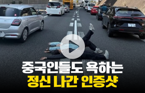중국인들도 욕하는 정신 나간 인증샷