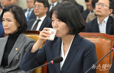 네이버, 댓글 조작 막는다···최수연 &quot;4월 중 좌표찍기 알람 시행&quot;