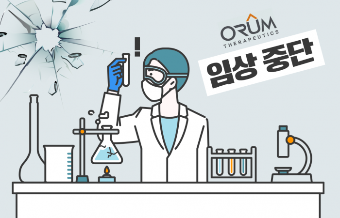 그래픽=홍연택 기자
