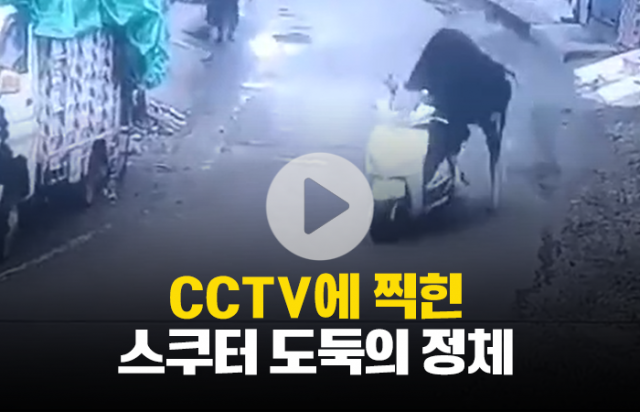 CCTV에 찍힌 스쿠터 도둑의 정체