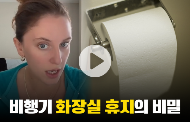"비행기 화장실 휴지는 위험해" 승무원 경고 화제