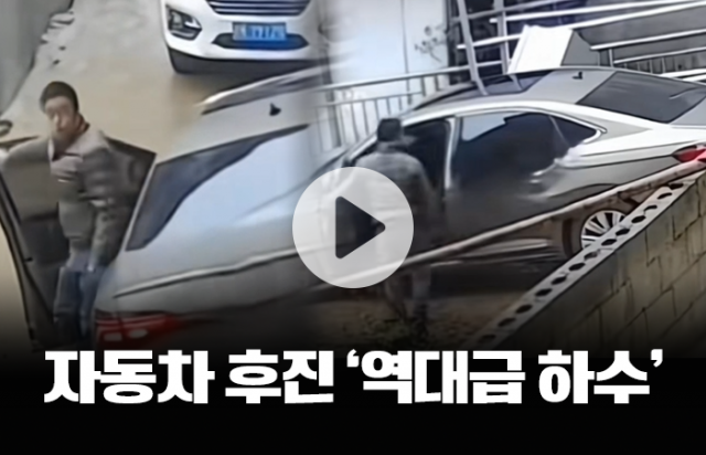 자동차 후진 '역대급 하수'