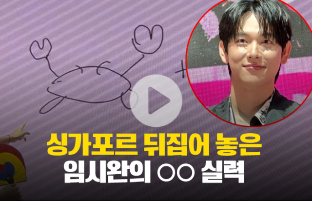싱가포르 뒤집어 놨다는 임시완의 그림 실력