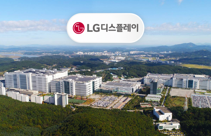 그래픽=박혜수 기자