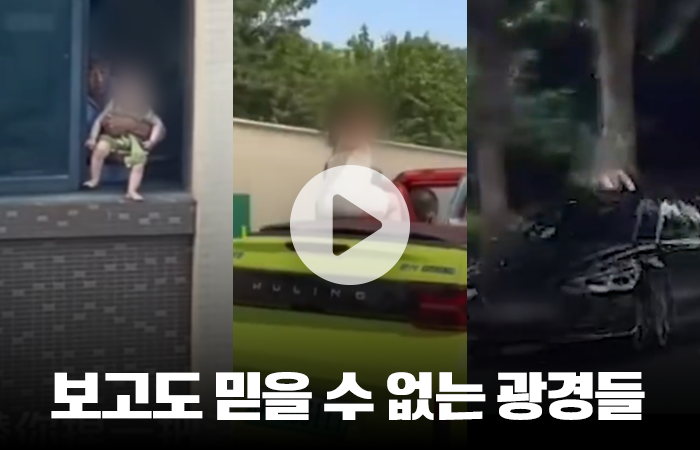 보고도 믿을 수 없는 광경들 기사의 사진