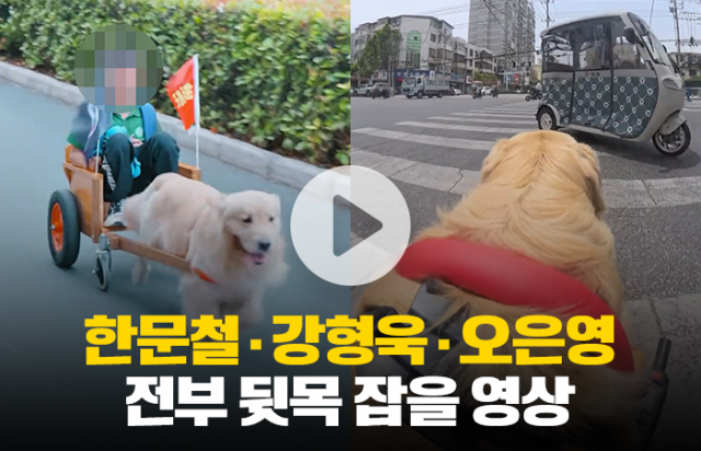 아이 태운 수레를 끄는 개 "동물학대 아냐?"