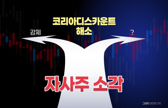 소각 강제가 코리아 디스카운트 해소 방법?···올바른 해법은