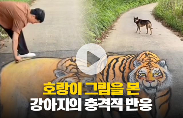 호랑이 그림을 본 강아지의 충격적 반응