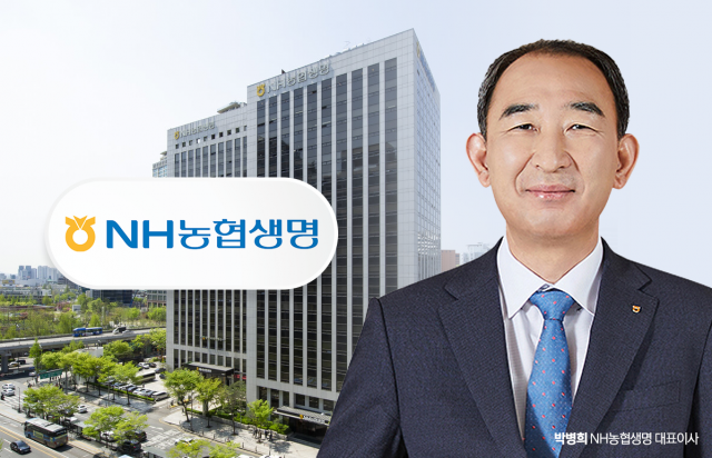 농협생명, 업계 유일 '400%' 지급여력 달성···박병희號 기본자본 전략 승계 빛 봤다