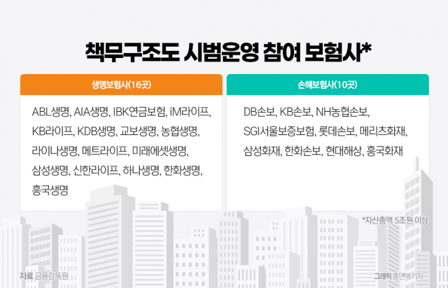 내달 시행 앞둔 보험업계···우려 속 지배구조 점검 마무리 수순