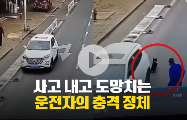 사고 내고 도망치는 운전자의 충격 정체