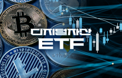국내 증권사, 가상자산 현물 ETF 거래 금지에도 매매···"담당자 실수" 해명