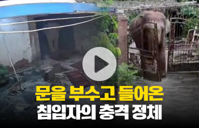 문을 부수고 들어온 침입자의 충격 정체