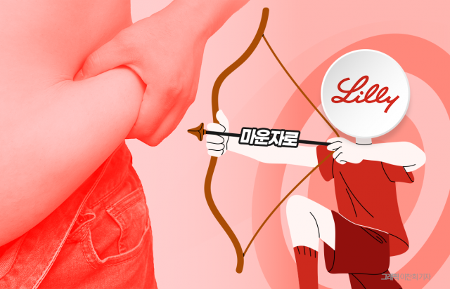 비만 치료제 '마운자로' 연내 국내 상륙···위고비와 시장 판도 흔든다