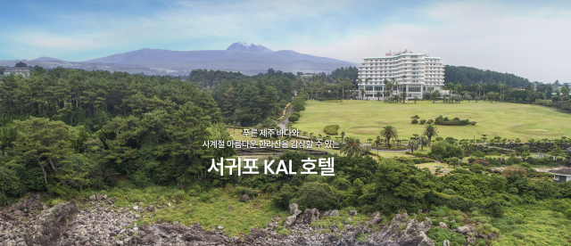 칼호텔네트워크, 10년 연속 적자에 대출·담보 의존 높아져