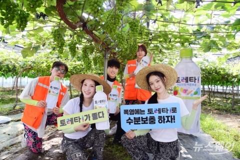 토레타, 대학생 농촌봉사단체에 1만2000개 지원