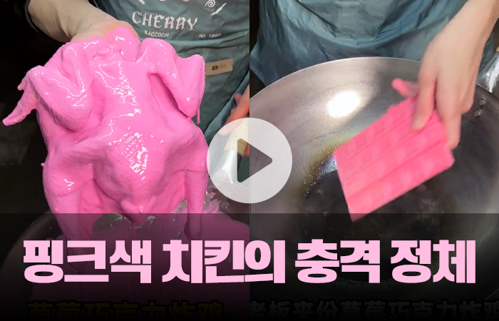 핑크색 치킨의 충격 정체