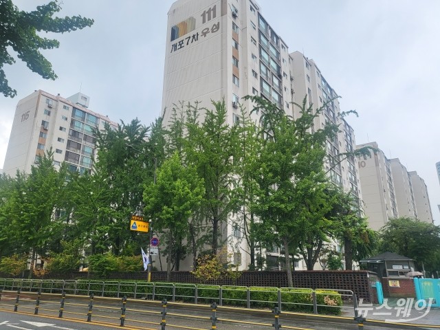 "계약서 78번 수정" VS "스카이브릿지 실현 논란"···개포서 재현된 한남의 기억