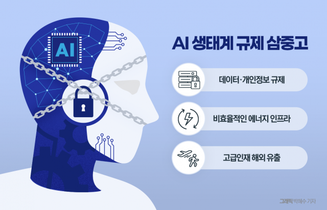 'AI 3대 강국' 외치지만··· 규제 장벽에 산업 혁신 '난관'