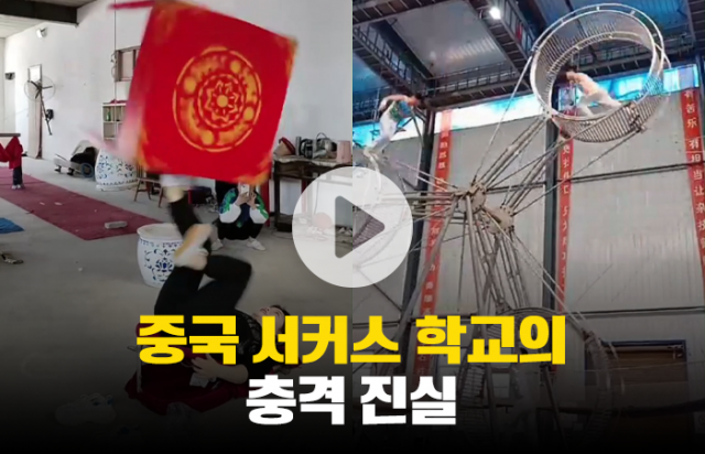 중국 서커스 학교의 충격 진실