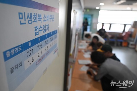 &quot;NH·KB·신한 SOL 페이 잘 나가네&quot;···소비쿠폰 덕 보는 금융권