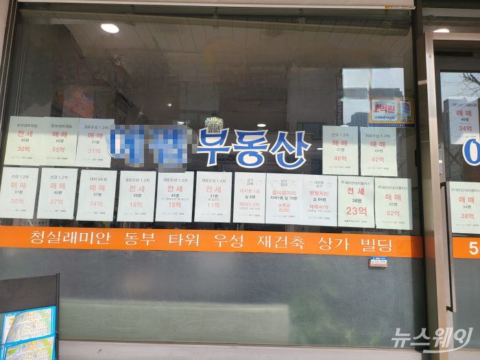 서울 강남구 일대 공인중개사사무소 모습. 사진=이재성 기자