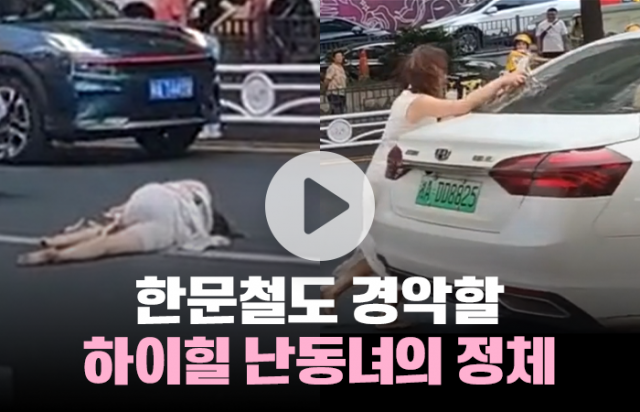 한문철도 경악할 하이힐 난동녀의 정체