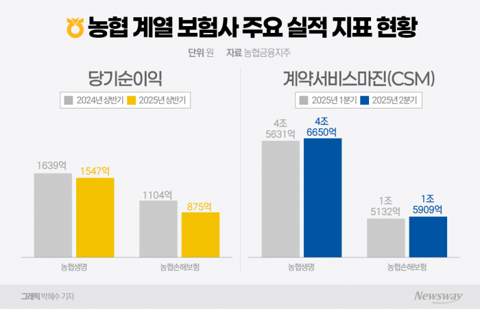 자연재해 타격 받은 농협생명·농협손보···하반기 '성장전략' 반등 노린다
