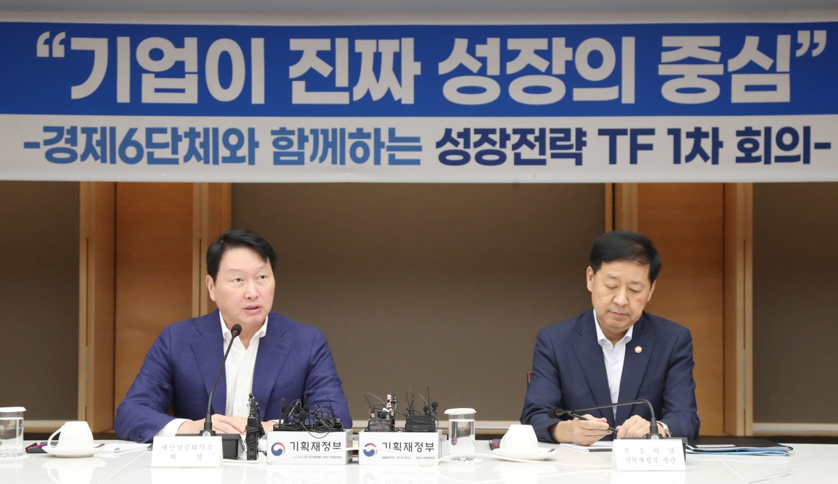 최태원, 구윤철 부총리 만나 "<b>기업 차별적 규제</b>는 <b>지양</b>해달라"