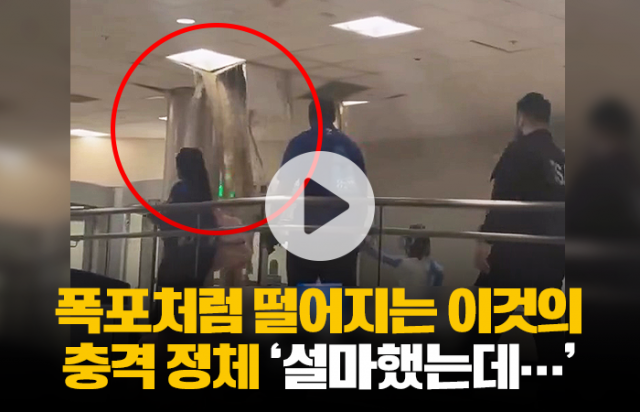 공항 천장에서 '이것'이 흘러내릴 줄은···진짜 상상도 못 했다