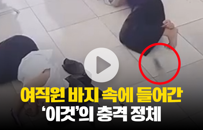 여직원 바지 속에 들어간 '이것'의 충격 정체