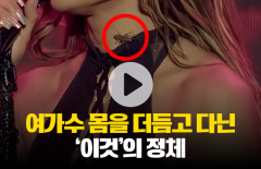 제니퍼 로페즈 공연에 등장, 시선 강탈한 '이것'의 정체