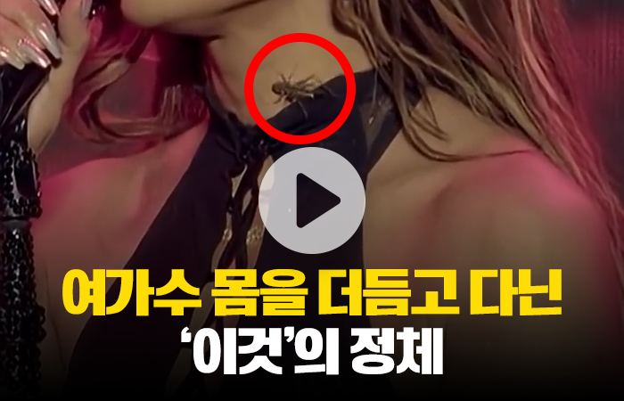 제니퍼 로페즈 공연에 등장, 시선 강탈한 '이것'의 정체 기사의 사진