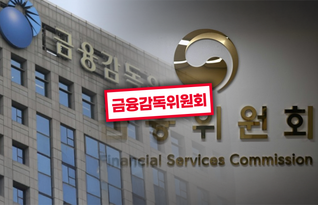 수장 공백 메운 금융당국···조직개편은 여전히 안갯속