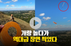 개와 놀다 '깜짝'···영국 남성 카메라에 포착된 초고속 UFO
