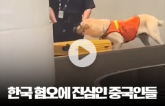 마약탐지견의 한국 과자 발견에 中 네티즌 "韓 음식 더러워"