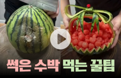 눈이 휘둥그레지는 '썩은 수박'의 대변신···먹어도 괜찮을까?