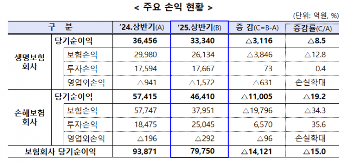 사진=금융감독원 제공